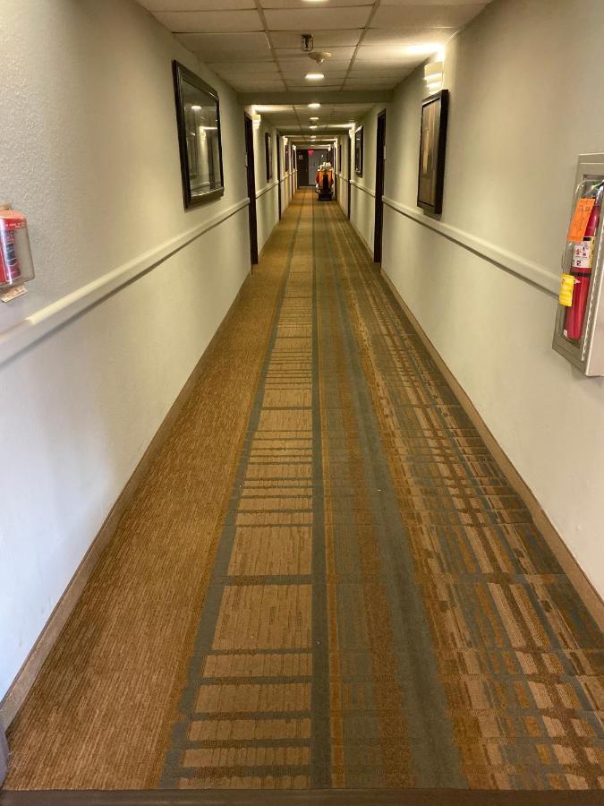 Deluxe W/ Lakeview - Free Parking/pool Apartment Orlando