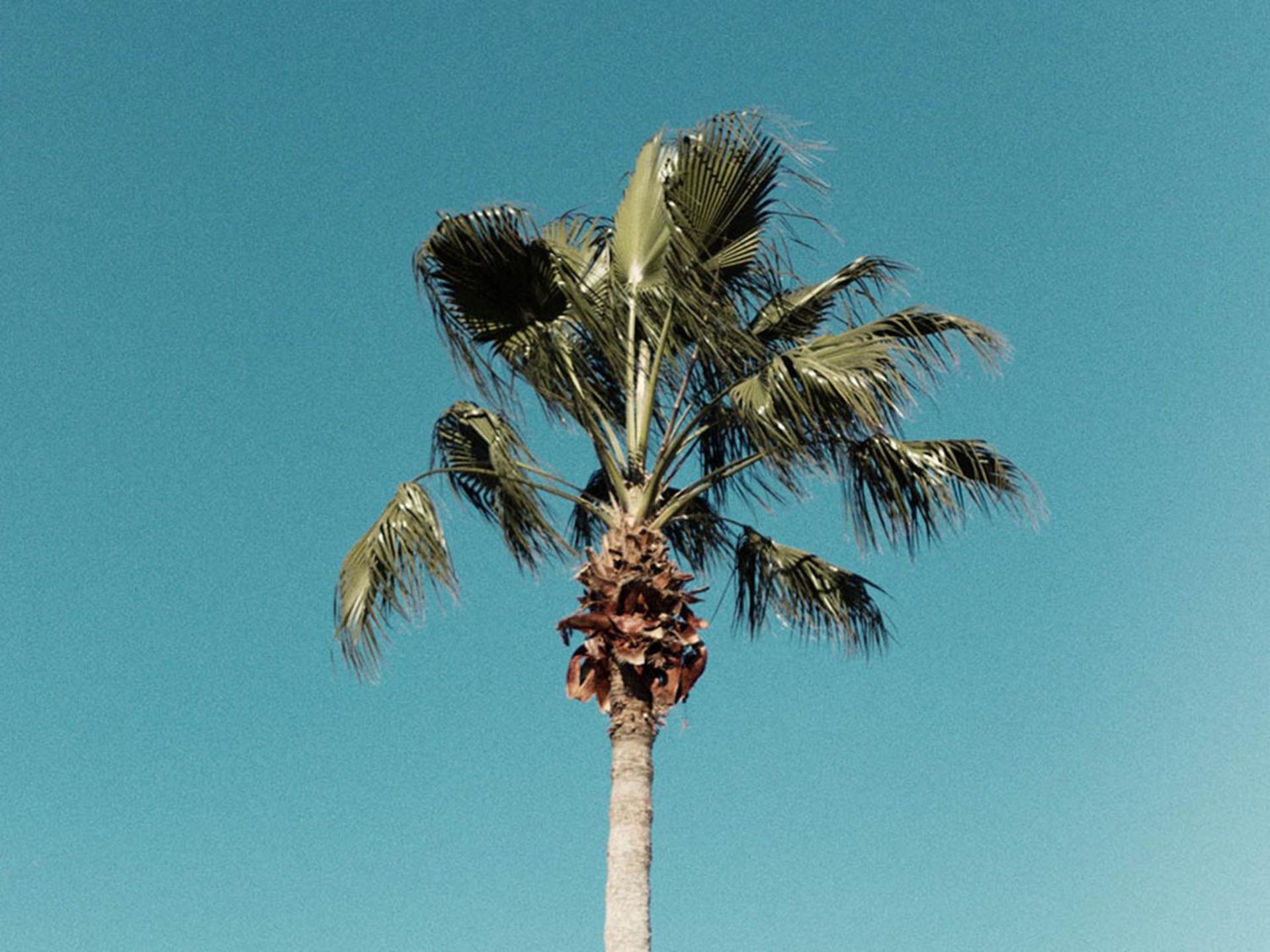 The Secret To Enjoying The While Staying On Paradiso Grande 6409