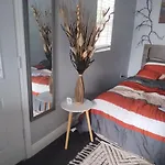 Tiny Home Barn Style In Backyard With Animals