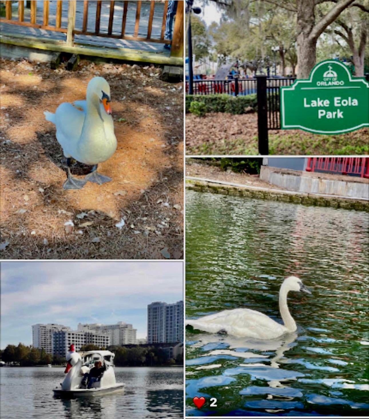 Happy Place Orlando