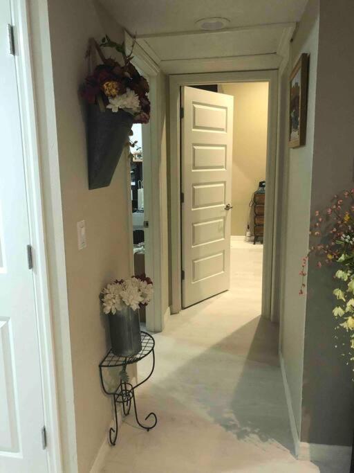 Punkygia's Lovely 2 Bedroom Retreat *