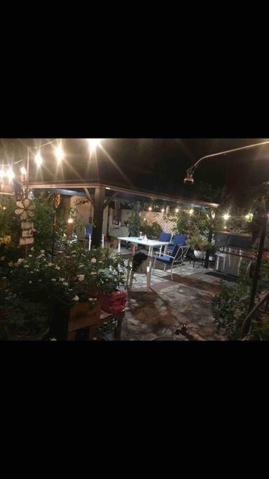 Punkygia's Lovely 2 Bedroom Retreat Apartment Orlando