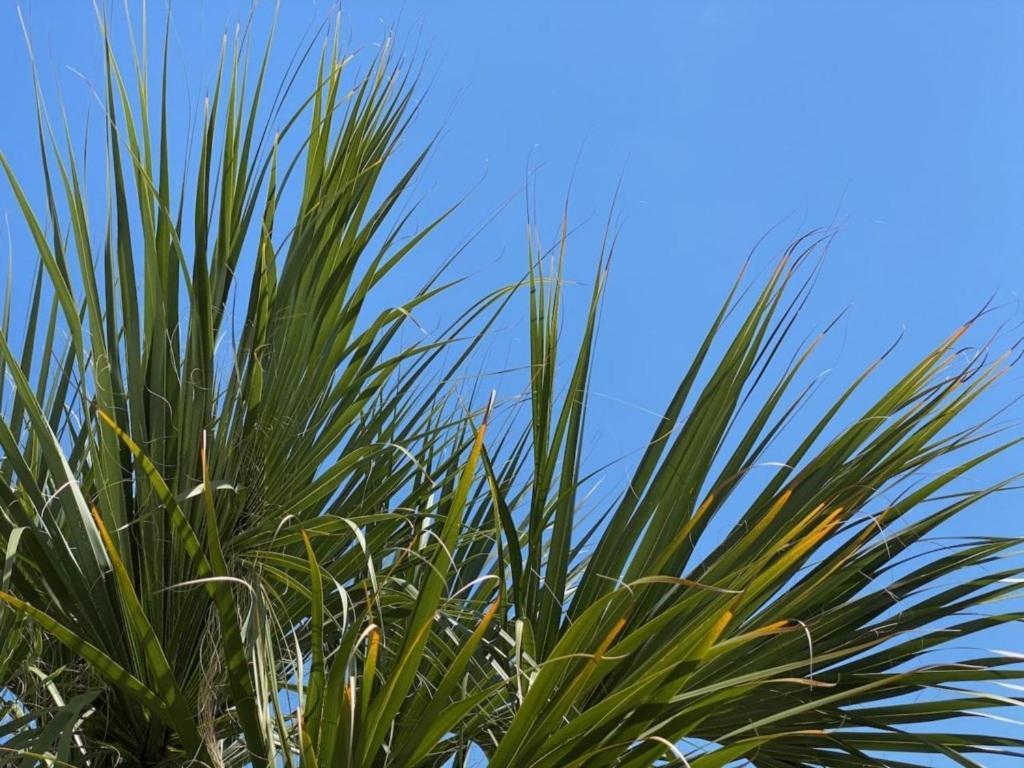 Vista Cay Casa Bonita Townhouse Holiday home Orlando
