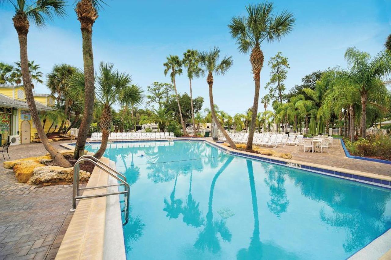 Lodge Tropical Palms & *