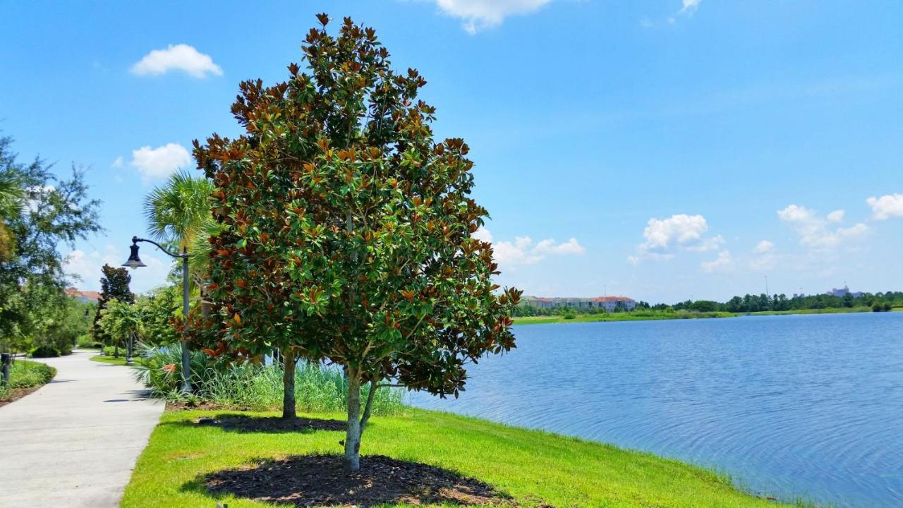 5048 Shoreway Loop 407 Apartment Orlando