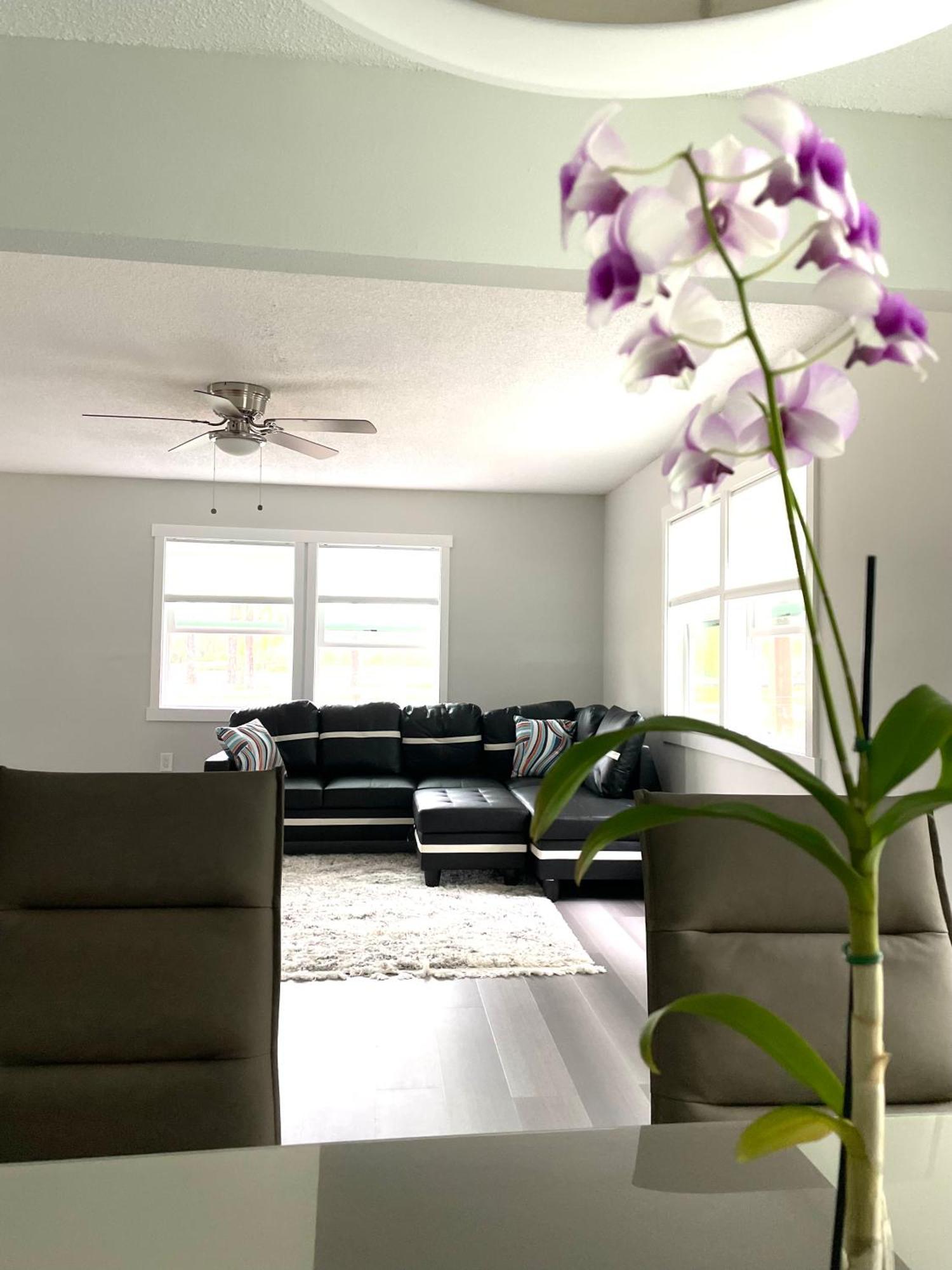Apartment House Close Baldwin-park & Downtown Orlando