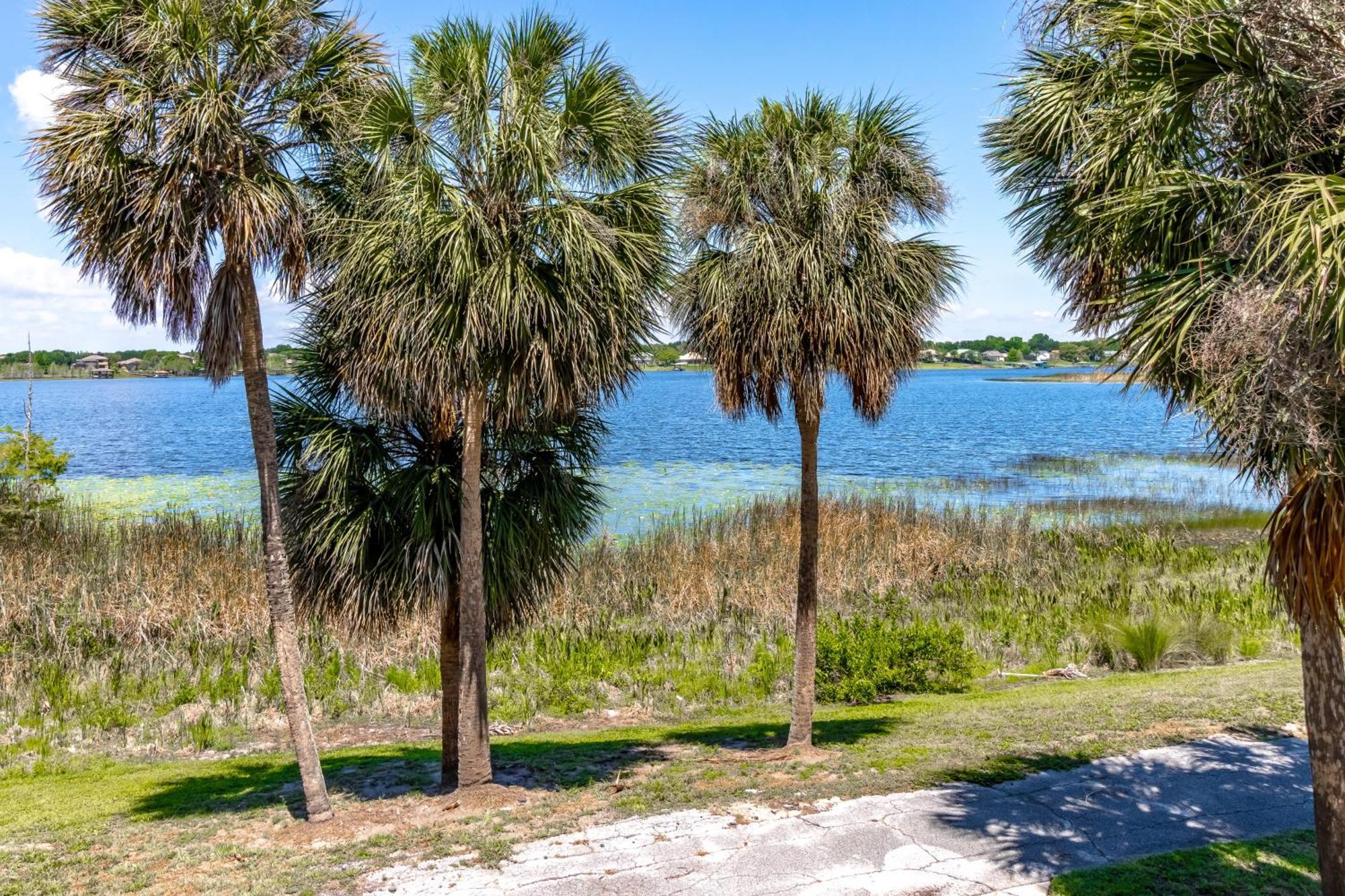 Apartment Charming Lakeview Retreat I Orlando