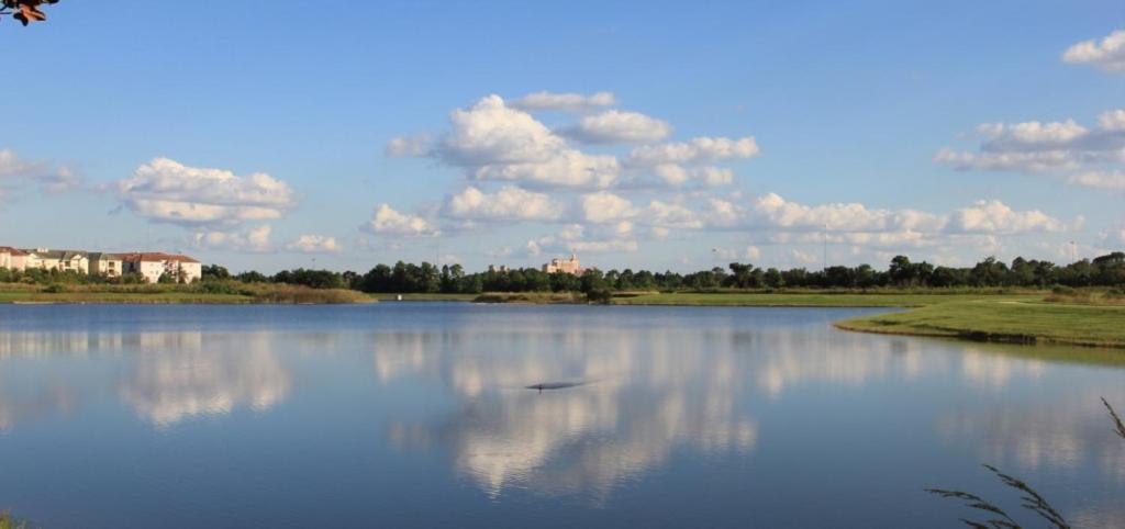 New! Spectacular Vista Cay Penthouse Prize Near Theme Parks Walk To Conventions And Int'l Drive *