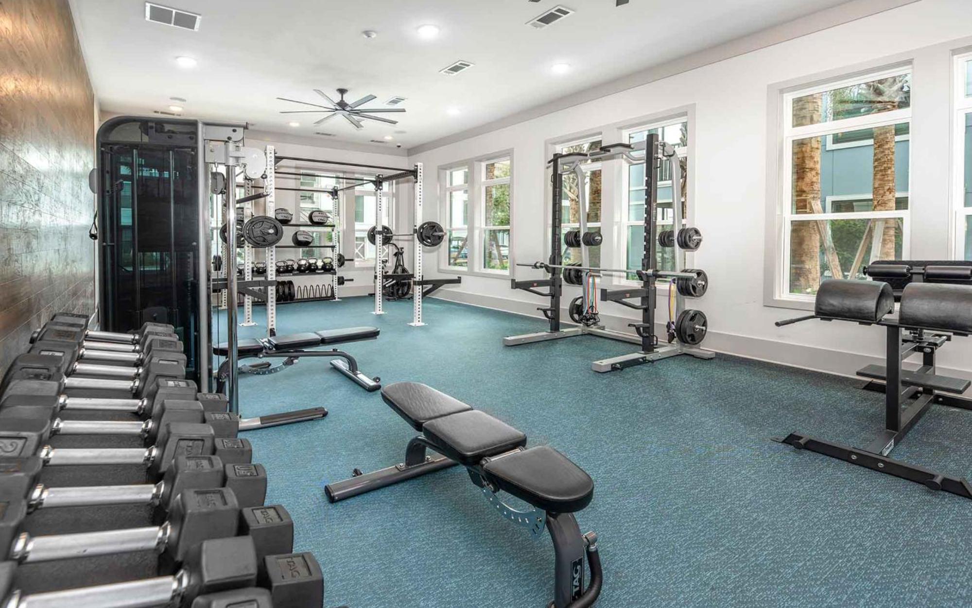 Full Apartment, 15 Min To Disney, King Bed Pet-friendly, Resort-style Amenities