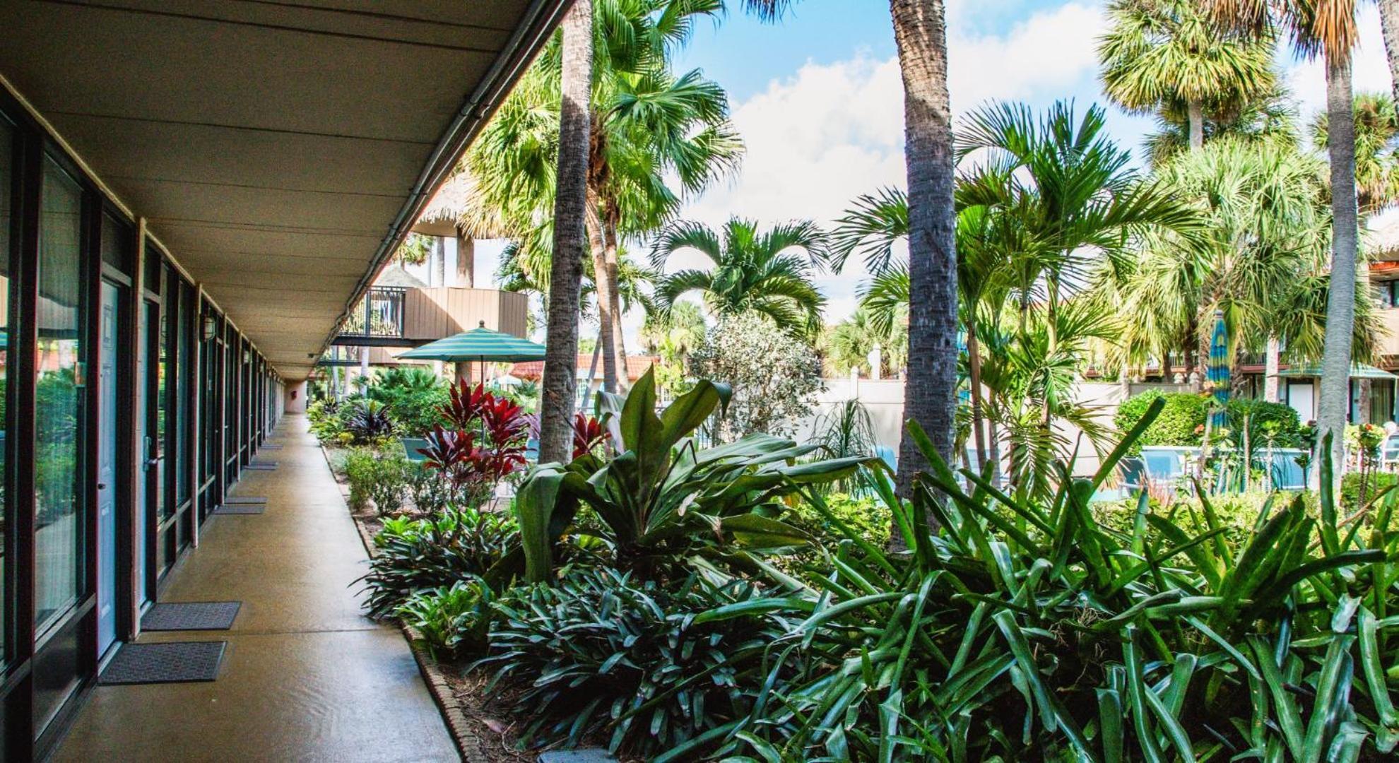 Apartment Magic Tree Orlando
