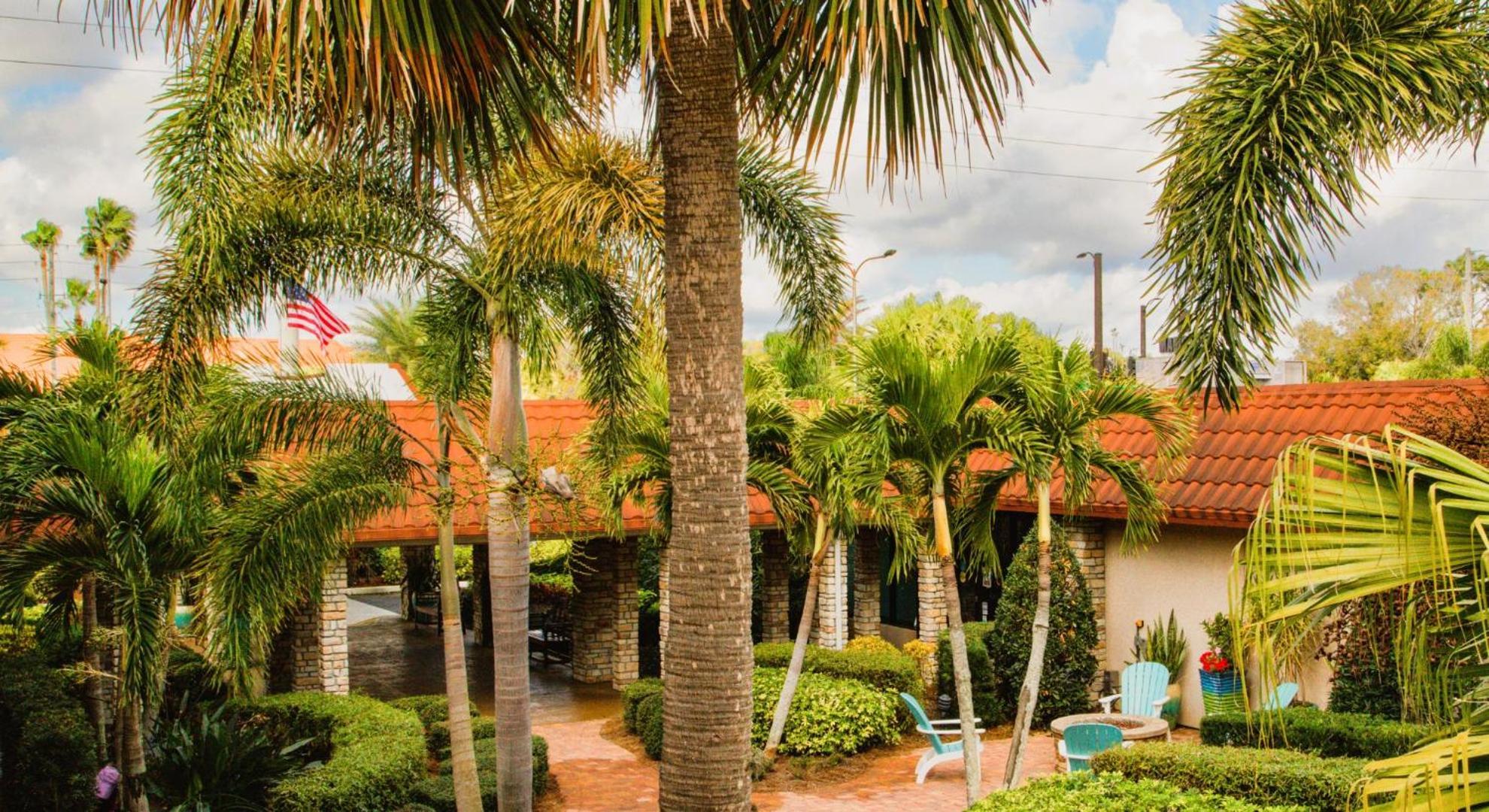Magic Tree Orlando