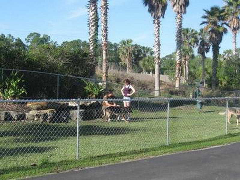 Tropical Palms & * Orlando