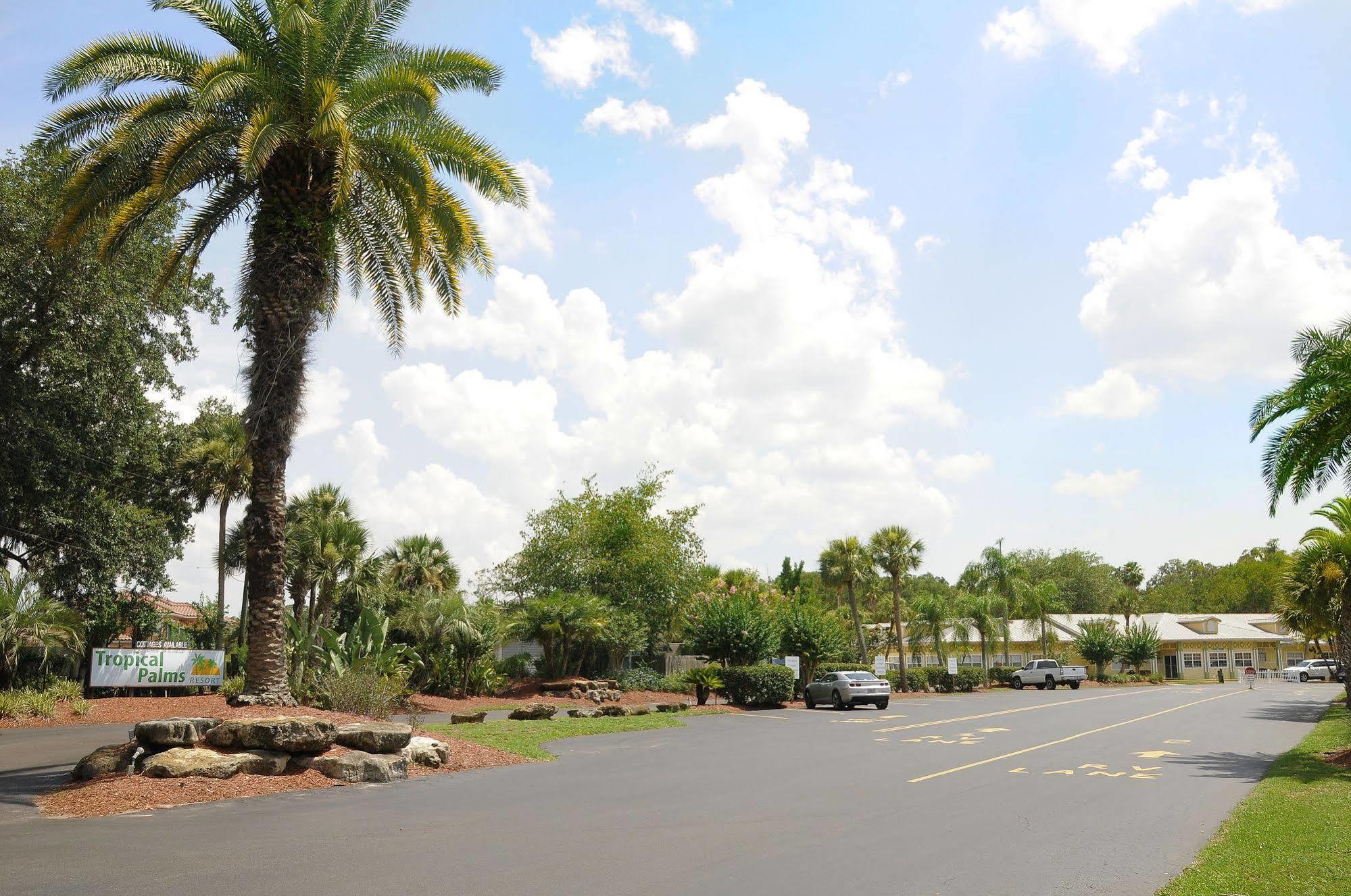 Lodge Tropical Palms & Orlando