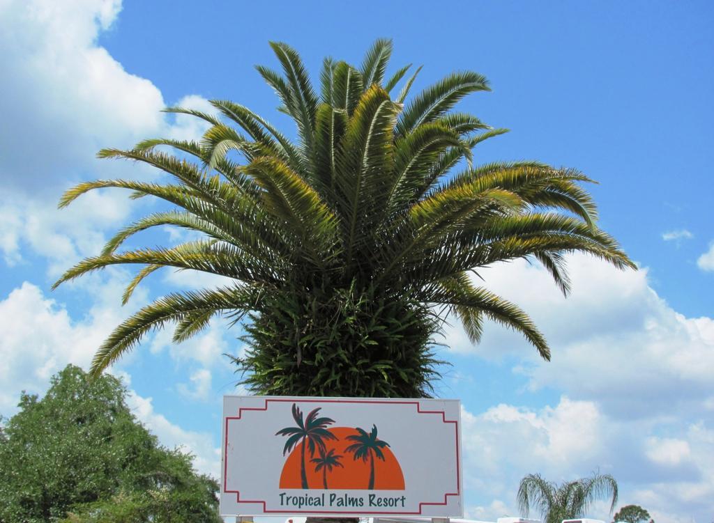 Tropical Palms & Lodge Orlando