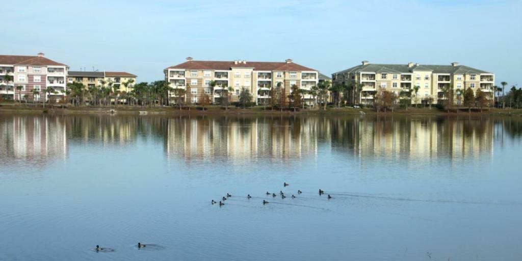 Shoreway #231520 *