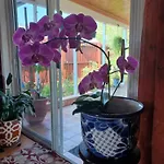 Cozy Bright Room