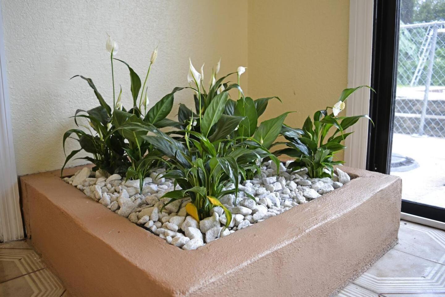 1Br Retreat Close To Disney Wi-Fi Orlando