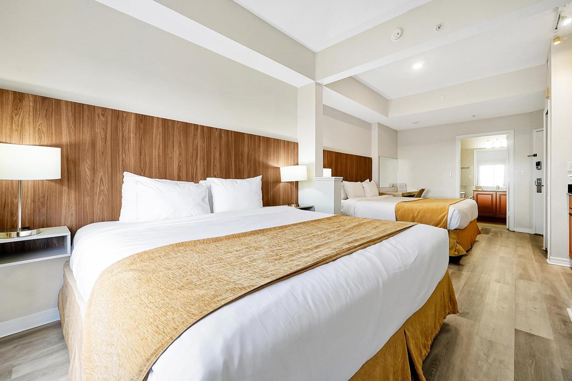 Apartment Universal Point
