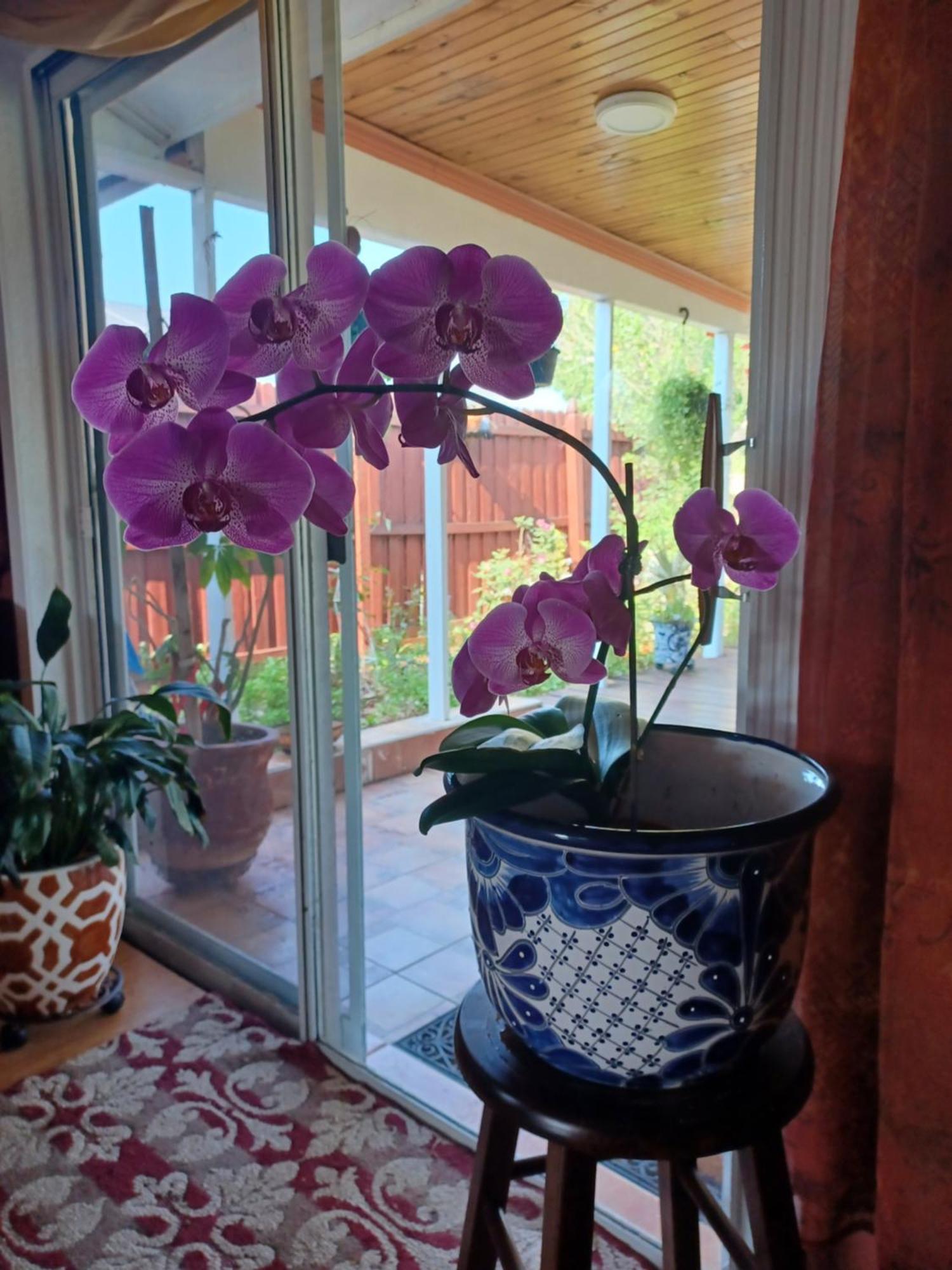 Cozy Bright Homestay Orlando