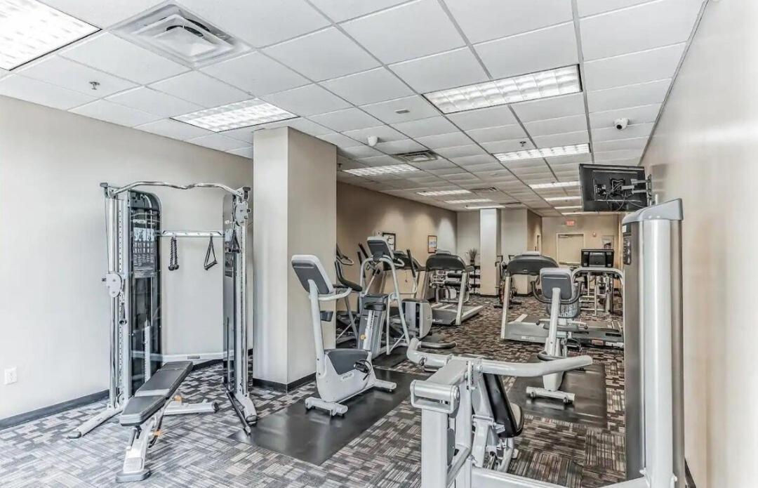 Luxury 3br-2ba Apartment