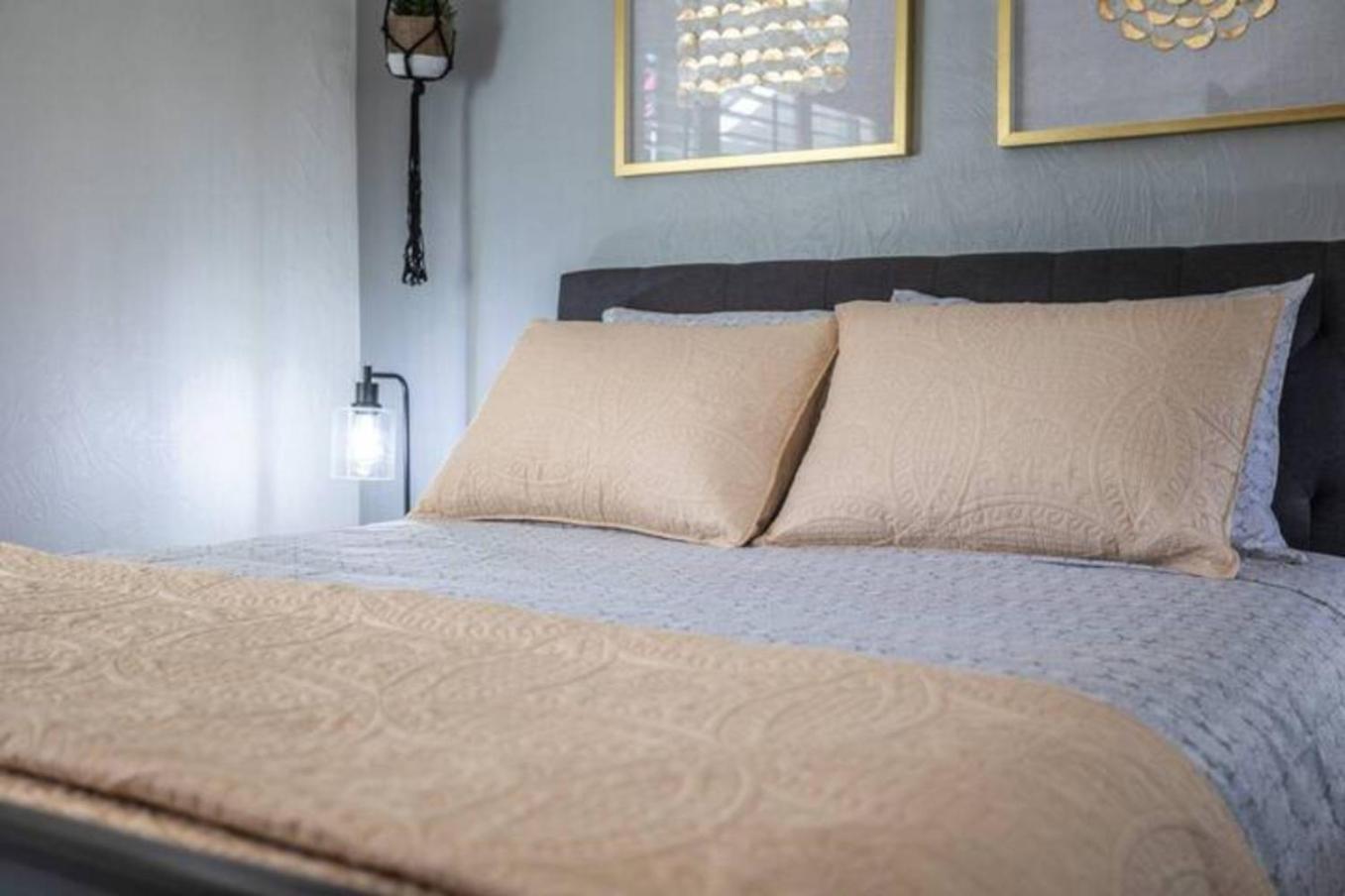 Bright 1br Fast Wi-fi Ideal For Work Orlando