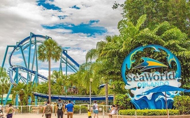 Luxurious Near Universal *