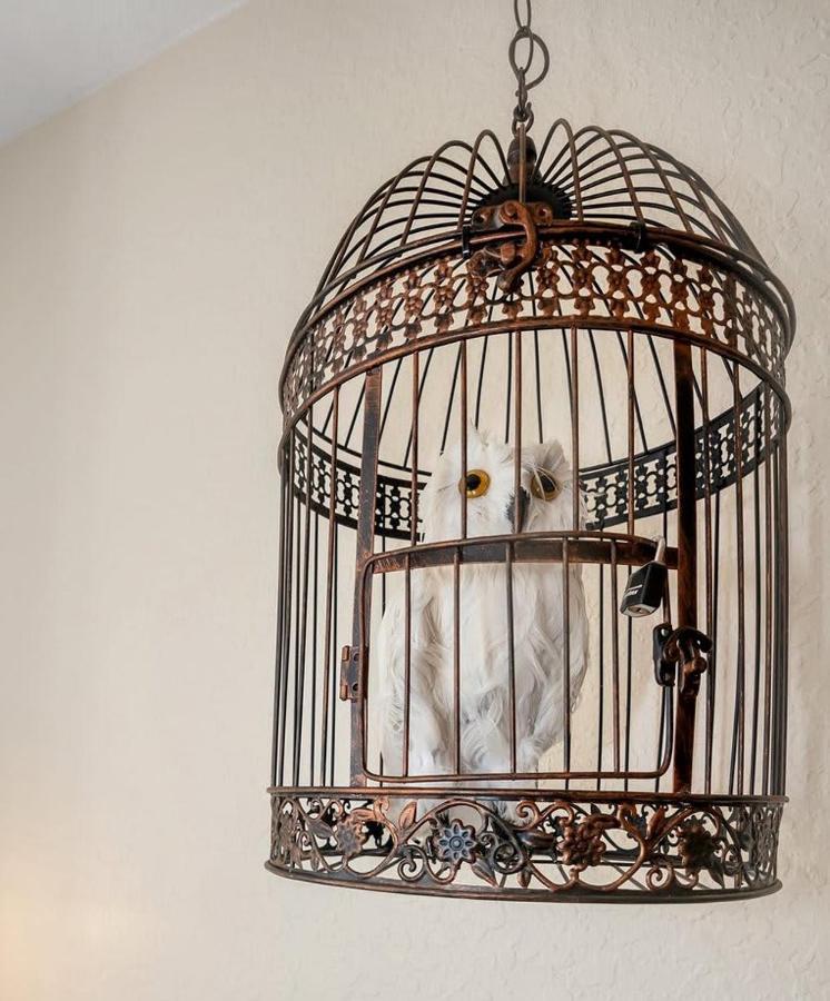 Delightful Harry Potter Themed