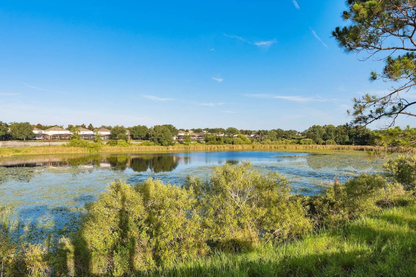 2 Bed 2 Bath First Floor Windsor Hills Apartment