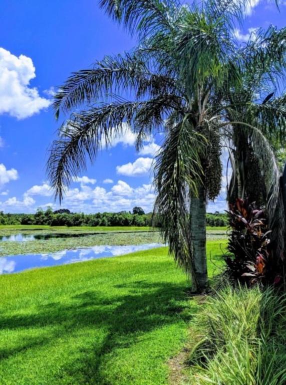 Hidden Waterfront Oasis - 18 Minutes To The Villa Orlando