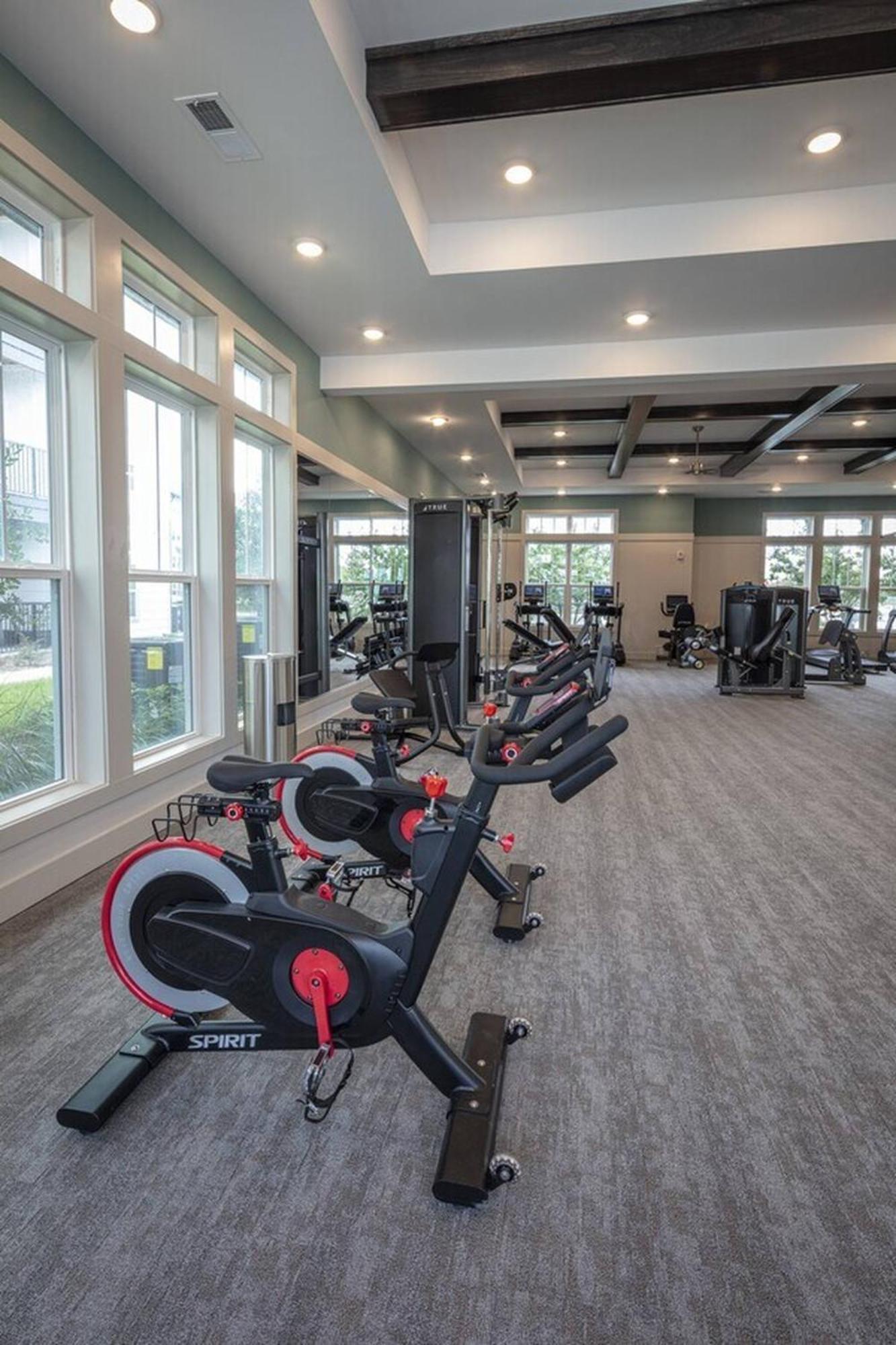 Complete Stylish King Near Parks Amenities Pet Ok Apartment